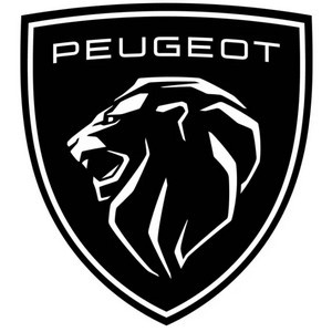 Tarcze i klocki hamulcowe do samochodu marki PEUGEOT